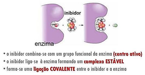 Inibidores enzimáticos