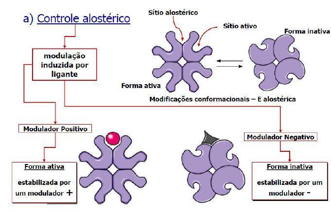 Modulação enzimática - Alostérica Ligações covalentes