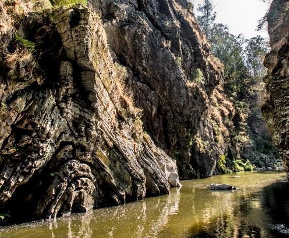 PARQUE DAS SERRAS DO PORTO PAISAGEM PROTEGIDA REGIONAL As Serras de Santa Justa, Pias, Castiçal, Flores, Santa Iria e Banjas constituem uma unidade paisagística de extrema significância para a Área