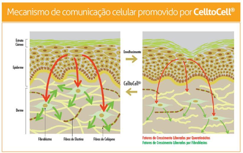 ph de estabilidade: 4,0 7,0.