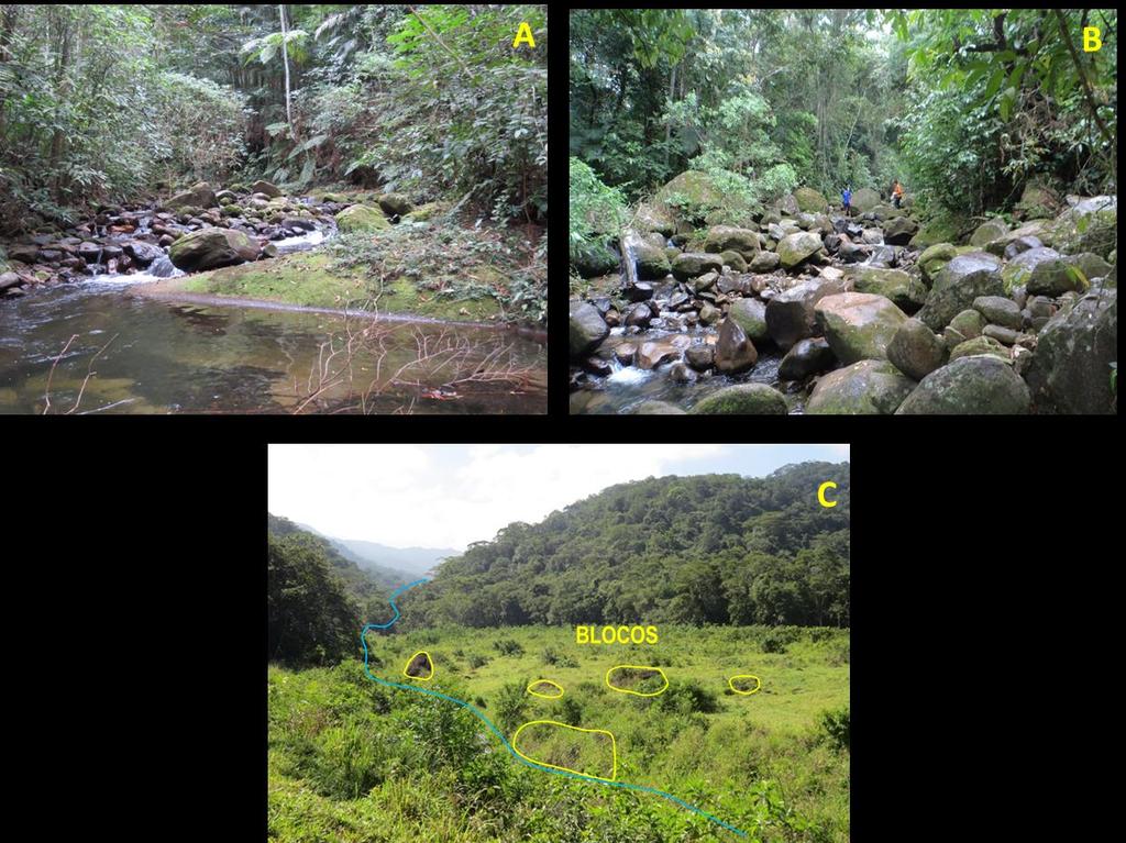 Figura 4: Depósitos identificados nas quatro bacias de drenagem: (A) Blocos depositados em soleira rochosa na bacia do Ribeirão Pau D Alho; (B) Depósito no canal principal da bacia do Guaxinduba,