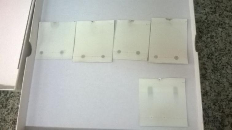 Figura 9- Da esquerda para a direita na primeira fileira: placas com hexano, clorofórmio, acetato de etila e diclorometano. Na segunda fileira: metanol.