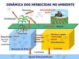 Classificação dos Herbicidas A