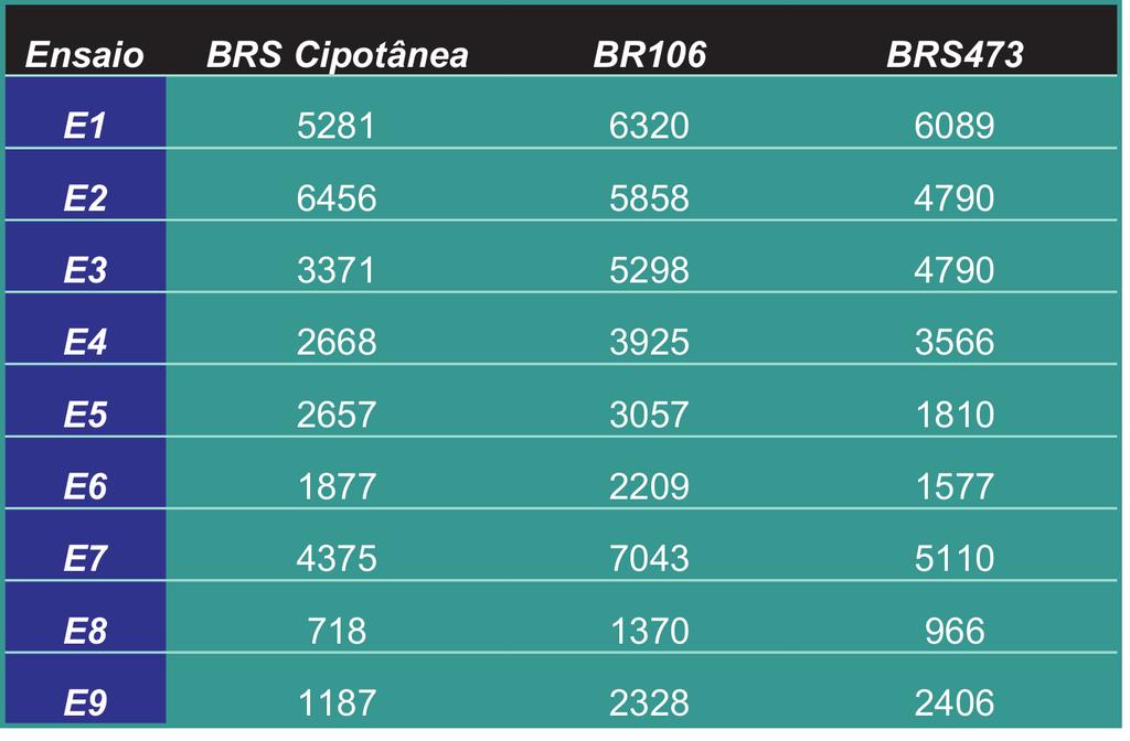 Variedade de Milho BRS Cipotânea uso da palha no artesanato 5 Tabela 4.