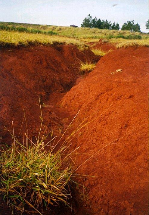 profundidade da lâmina de água) SOLO um dos mais importantes recursos naturais