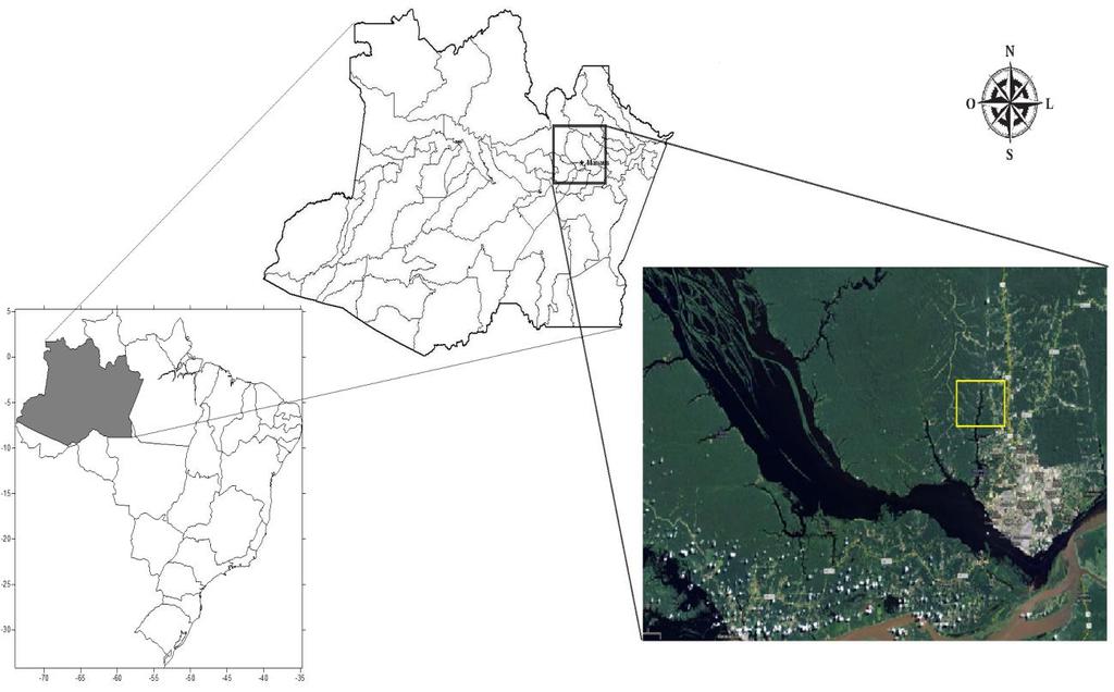 18 Figura 1. Localização do sítio, em destaque a reserva do rio Cuieiras, pertencente ao INPA, próxima a cidade de Manaus, Amazonas. 3.2.