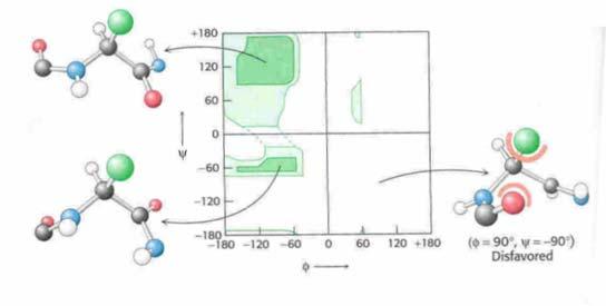 Notas Rotações possíveis entre ligações num polipéptido (A) Perspectiva ao longo da ligação N-Cα: medição do ângulo phi (B) Perspectiva ao longo da ligação Cα-CO: medição do ângulo psi (C) Diagrama
