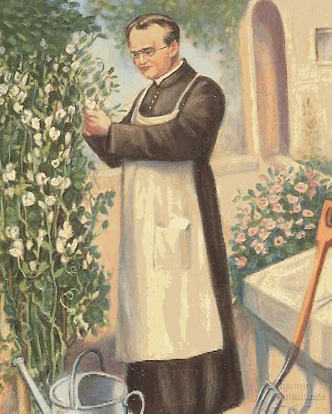 As leis básicas da genética começaram a ser desvendadas em meados o séc. XIX, pelo monge Gregor Mendel (1822 1884).