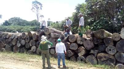 Prog. de Desmatamento do Reservatório Impactos identificados no EIA: Necessidade de supressão de vegetação (possíveis efeitos negativos