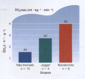 Capacidades respiratórias do músculo Gastrocnêmio e consumo máximo