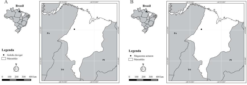 66 sem área estridulatória. Tíbias anteriores tridentadas, nos machos prolongada, ápice geralmente com dois ou três dentes internos; em fêmeas mais amplo e curto.