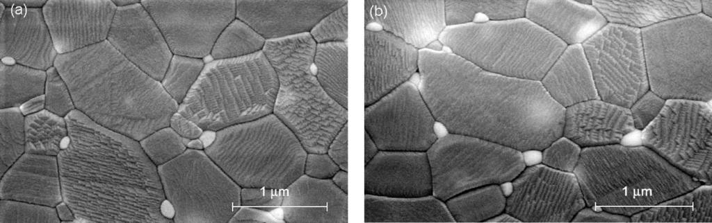 12 J. J. Pierri et al. / Cerâmica 51 (2005) 08-12 Figura 5: Micrografias MEV das amostras de alumina com (a) 1% e (b) com 3% de ZrO 2 obtidas pelo procedimento B.