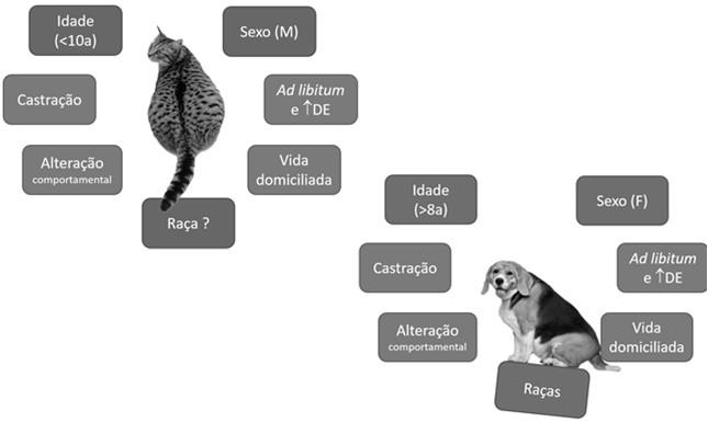 e hiperadrenocortismo) Uso contínuo de