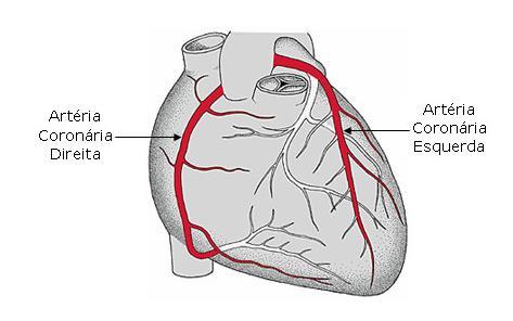 CE (coronária esquerda). Figura IX: visualização da posição anatômica da artéria circunflexa (Cx) 3.1.