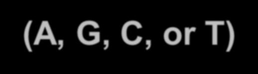 O Pentose 5 CH 2 C 4 O C 1 N Base