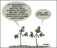 b) expansão da irrigação por aspersão das lavouras. c) intensificação do controle do desmatamento de florestas. d) adoção de técnicas tradicionais de produção.