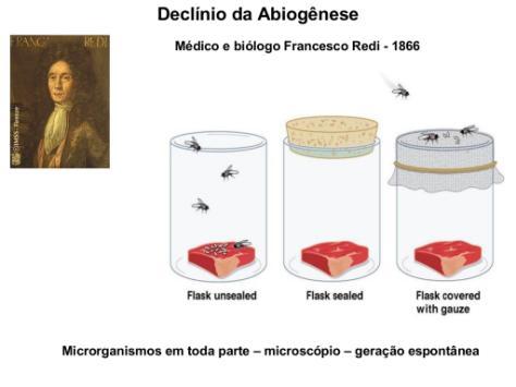 Redi (1626-1697): moscas não se originam de carne e peixes