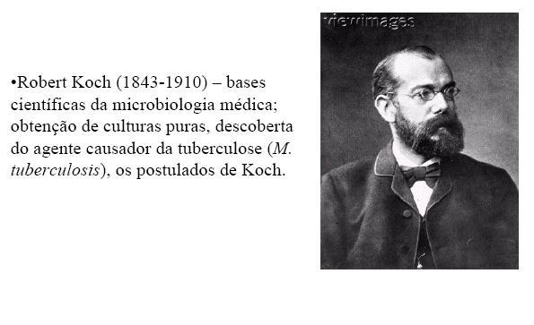 o Em 1877 publicações sobre o Antraz (doença do gado) que também pode ocorrer em seres humanos; o Demonstrou que certas bactérias estavam