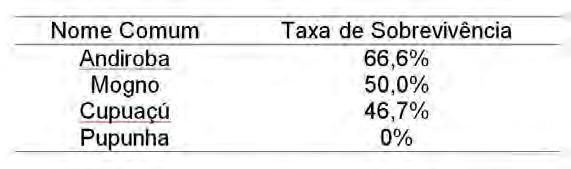 financeiros para investir em sistemas de irrigação e adubação muitos produtores rurais sentem receio em implantar sistemas agroflorestais.