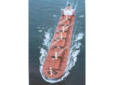 Graneleiros Transporte marítimo O transporte marítimo é praticamente feito por conteiners Conteiner: é um equipamento de transporte, e não apenas uma forma de acondicionamento de carga Equipado com
