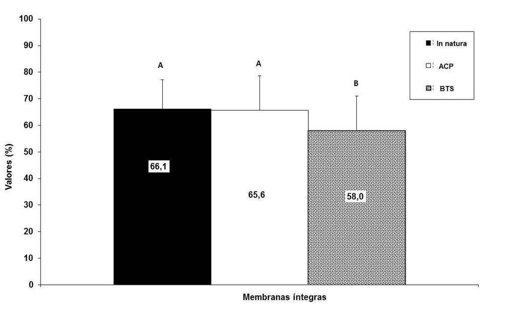 Figura 5: Total de membranas íntegras a 30 o C, no sêmen suíno in natura e após diluição nos diluentes BTS e ACP.