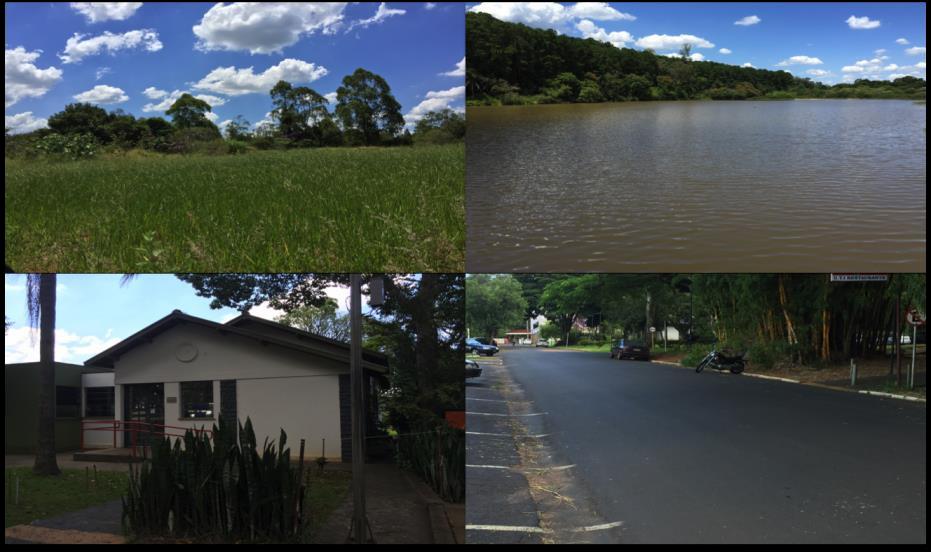 área Norte, a proximidade entre os prédios na área Sul faz com que a ventilação e iluminação naturais não sejam aproveitadas de forma adequada, o ônibus interno que circula pelo campus não é movido a