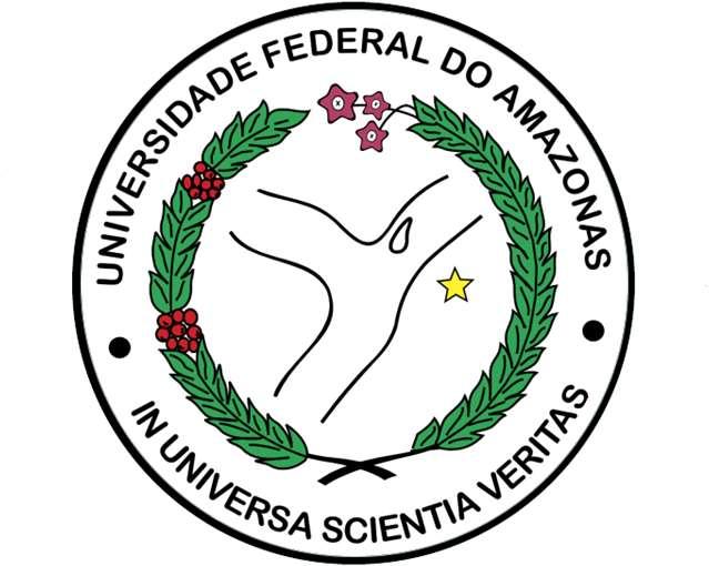 UNIVERSIDADE FEDERAL DO AMAZONAS INSTITUTO DE COMPUTAÇÃO