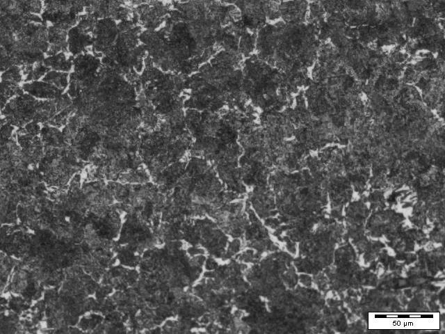 Resultados Conforme foi realizada a preparação das amostras, é possível ter uma análise detalhada do resultado obtido pelas imagens, conforme é apresentado a seguir: Figura 3 metalografia