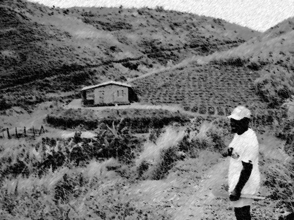 Um seminário sobre a terra e as