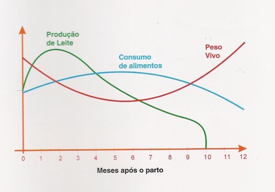 CRITÉRIOS DE SELEÇÃO CARACTERÍSTICAS REPRODUTIVAS Figura 1.