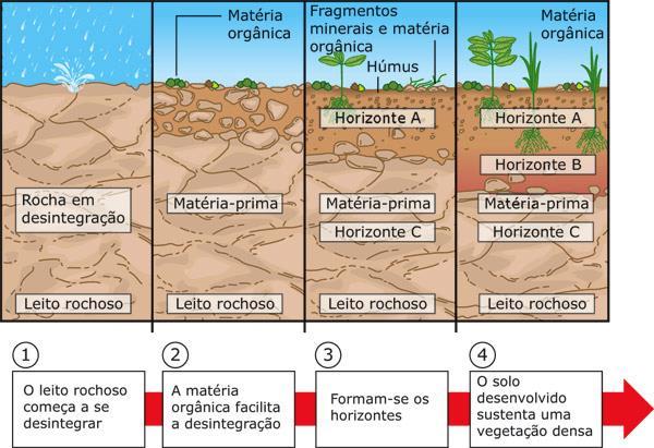 Solos Residuais: Quando provieram da decomposição da rocha subjacente, ou seja,