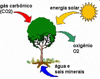 O processo pode ser