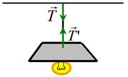 F α x Para retirar o símbolo de proporcional coloca-se uma constante k. Essa constante é chamada de constante elástica e está relacionada com a dureza da mola.