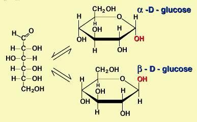 C) Carboidratos São compostos formados, basicamente, por H, C e O, na proporção C x H 2y O y. São, por definição, polihidroxiácidos, poli-hidroxicetonas, polihidroxialdeidos ou polihidroxialcoois.