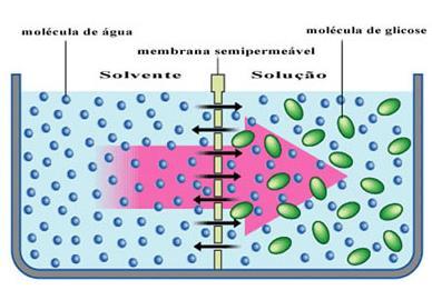 Controle Osmótico Isosmóticos: fluidos corpóreos em equilíbrio com água