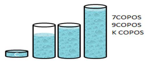 158 como responsável pelo respectivo volume de líquido: 7, 9 e k copos. Sugere-se que cada uma, ao mesmo tempo, pegue nas mãos o recipiente correspondente ao seu volume.