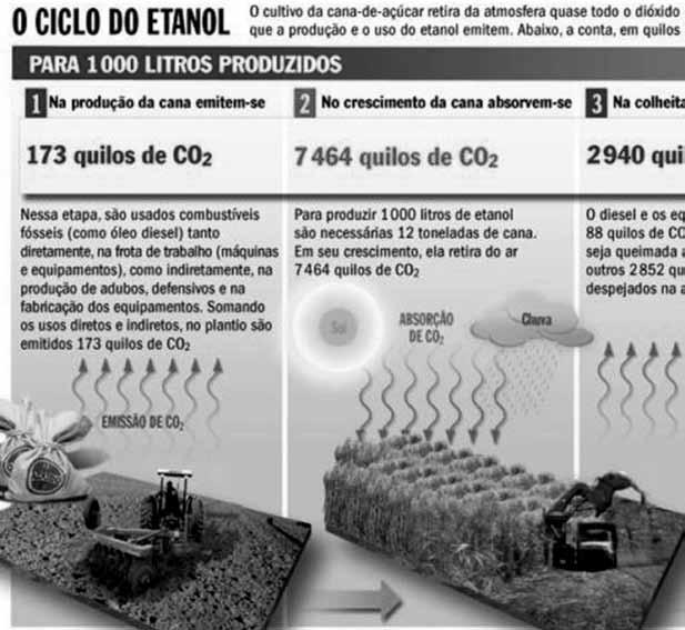 160 Silvia Regina Nunes Figuras 1-3: O ciclo do etanol (cf. Veja, n.