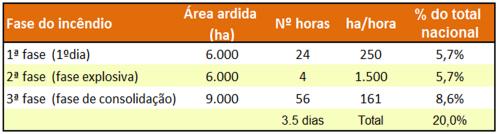 5 dias ANÁLISE MENSAL -