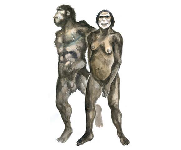 NEÓGENO Domínio de mamíferos de grande porte Surgimento dos primatas e primeiros
