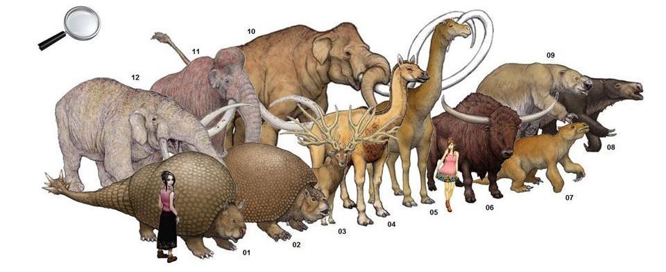 Fauna do Quaternário Dominada por mamíferos de grande porte até o final