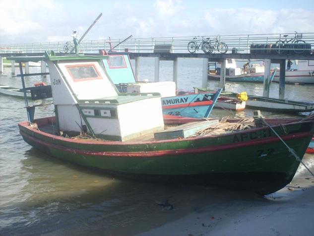 tripulantes. Caíco, embarcações de 2 a 5 metros, com motor denominado rabeta de 1 cc, com capacidade de estocagem de 300 a 500 kilos, com capacidade para até três pescadores.