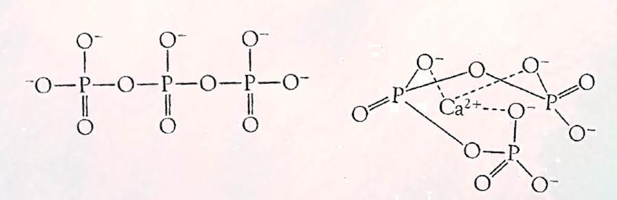 8. Utilização de fosfatos nos detergentes Os detergentes sintéticos formam complexos com os iões Ca 2+ emg 2+ diminuindo a sua eficácia.