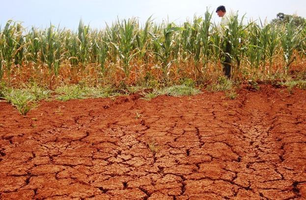 CONTEXTUALIZAÇÃO Região Sul A seca é o evento meteorológico que causa maior impacto negativo na agricultura Eventos de seca registrados na Região Sul: 1986