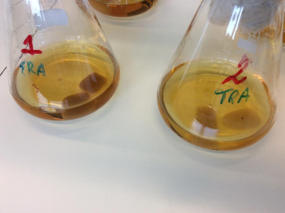 1. Bioremediação : variação no teor fenólico, actividade antioxidante e perfil cromatográfico Objectivos Gerais: Caracterização de extatos aquosos dos subprodutos Indirectamente Teor de