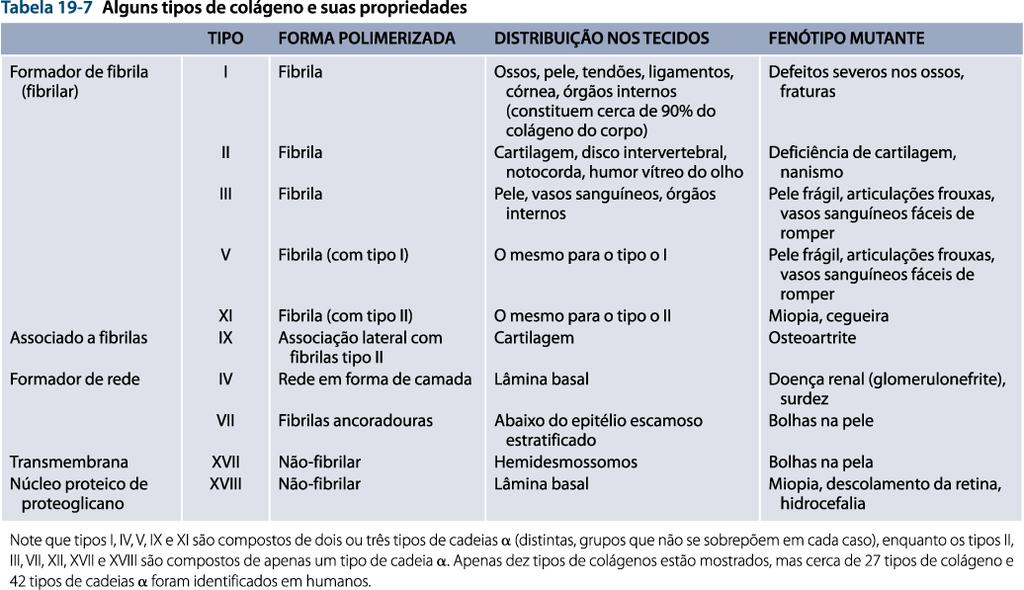 Matriz