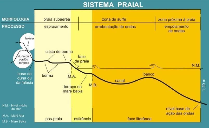 16 Já Souza et al; (2005) divide o sistema praial em pós-praia, estirâncio e face litorânea.