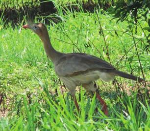 no que se refere à preservação ambiental e