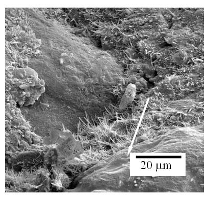 Sobre os corpos-de-prova fabricados com 40% de resíduo B observa-se uma quantidade bem maior de cristais de etringita.