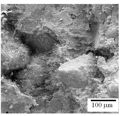 Figura 7: Microestrutura da argamassa com 40% de resíduo B mostrando os cristais de etringita.