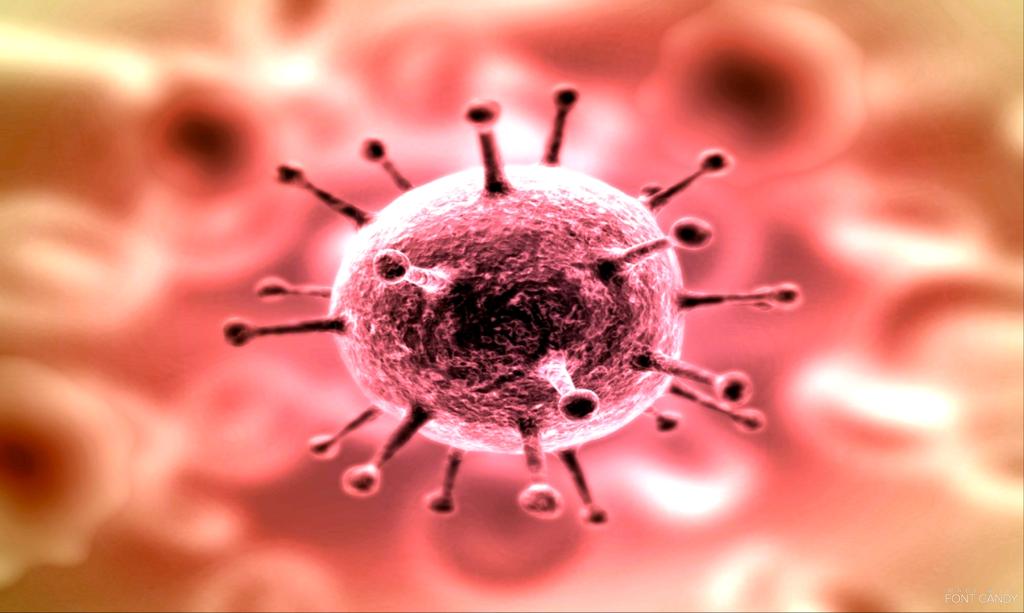 VÍRUS: A ESTRUTURA DO HIV E SEU CICLO DE VIDA O vírus HIV possui duas moléculas de RNA envoltas por cápsulas proteicas (capsídeo), formando o nucleocapsídeo.